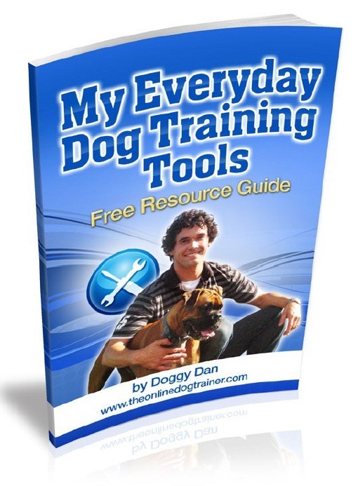 My_Everyday_Dog_Training_Tools